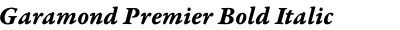 Garamond Premier Bold Italic Caption